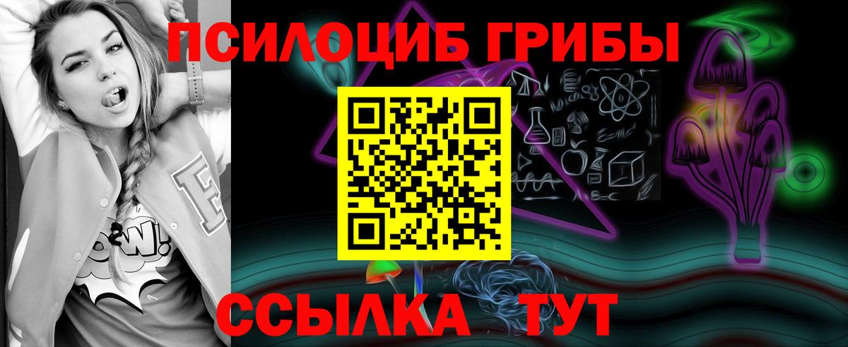 Псилоцибиновые грибы Magic Shrooms  цены наркотик  Назрань  Вход с VPN 
